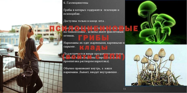MDMA Premium VHQ Бронницы