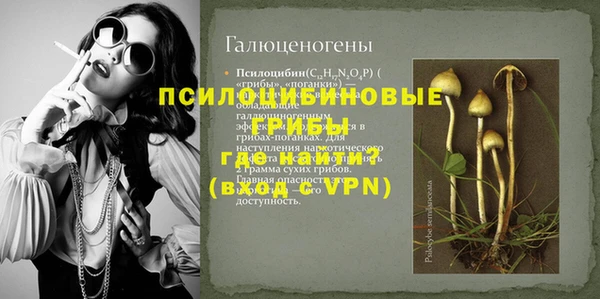 MDMA Premium VHQ Бронницы