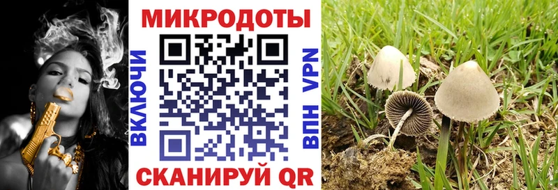 закладки Липецк Галлюциногенные грибы прущие грибы